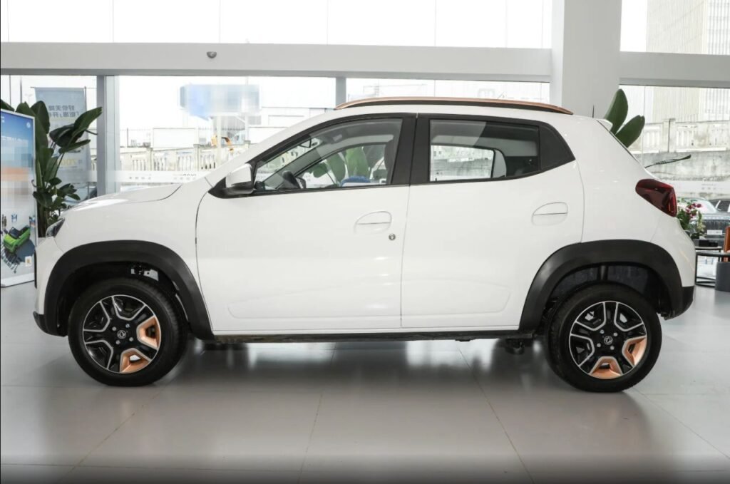 IMG-20260122-WA0088[2]