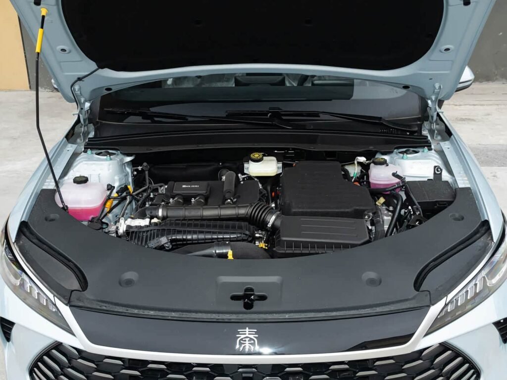 FB_IMG_1772747876817